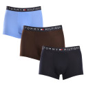 3PACK boxeri bărbați Tommy Hilfiger multicolori (UM0UM03180 0X0)