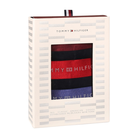 3PACK boxeri bărbați Tommy Hilfiger negri (UM0UM03411 0WP)